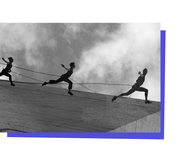 Black Belt kompetencje